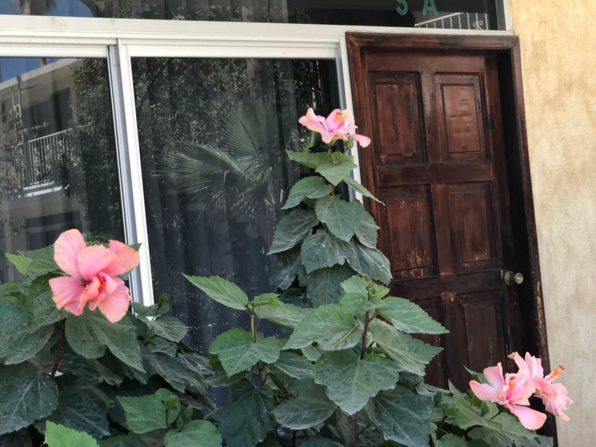 Hotel Calafia La Paz Εξωτερικό φωτογραφία